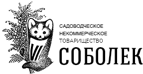 Logo Country